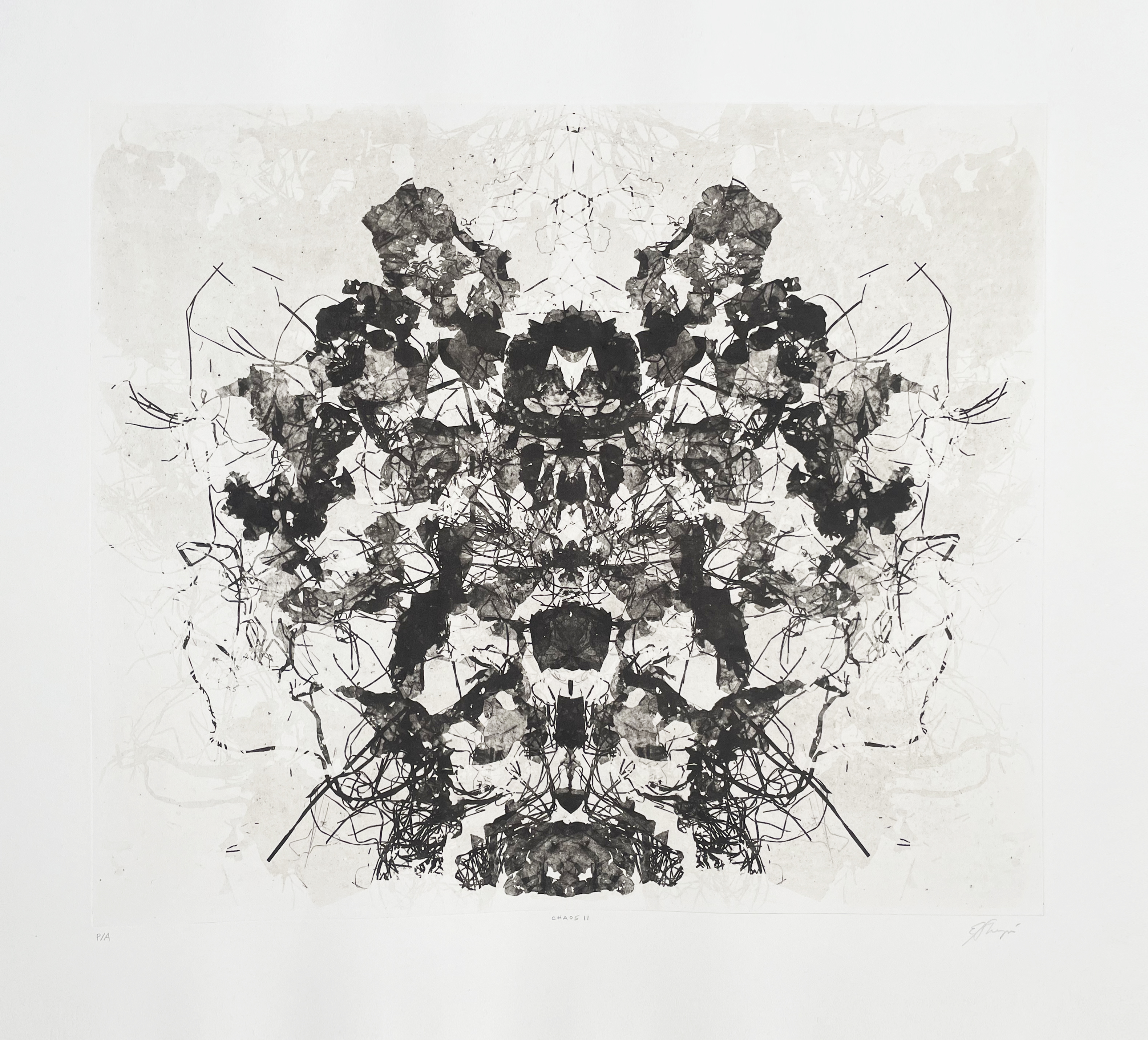 Chaos